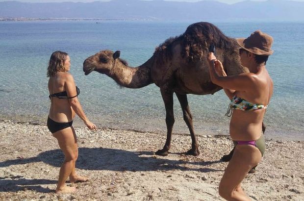Türkiye'nin ilk çıplaklar kampını develer bastı