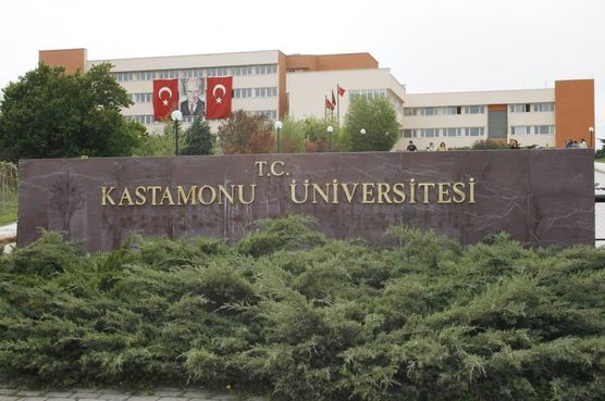 Kastamonu Üniversitesi'nde 1 kişi tutuklandı