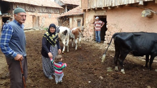 Kütahya'nın Akoluk köyünde yaşayan yaşlı çift yıldırım isabet eden ve telef olan ineklerine sarılıp gözyaşı döktüler