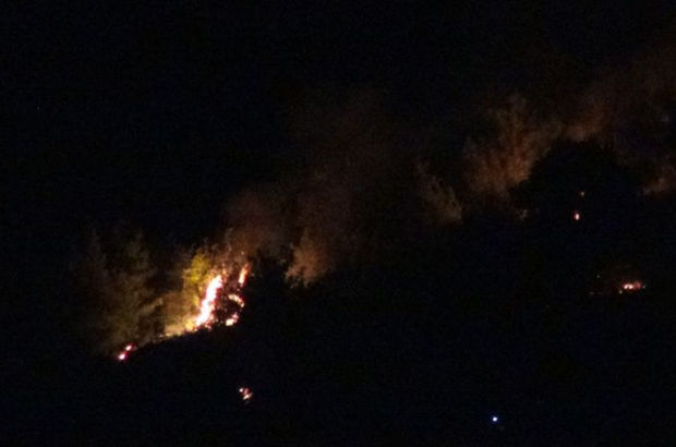 Adana'da korkutan orman yangını