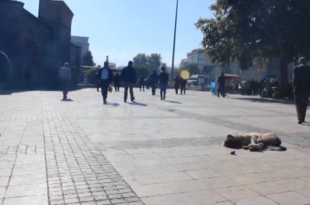 Kayseri'de 'İnsanlık ölmemiş' dedirten 3’lü