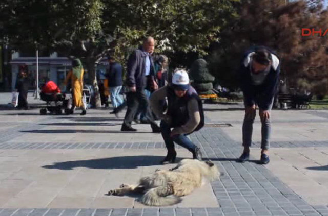 Kayseri'de 'İnsanlık ölmemiş' dedirten 3’lü