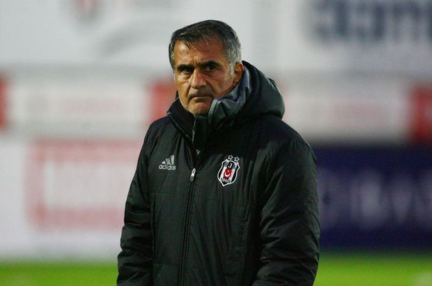 Beşiktaş teknik direktörü Şenol Güneş: Milli araya kadar kayıp istemiyorum