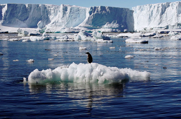 Antarktika'da dünyanın en büyük koruma alanı yaratılacak