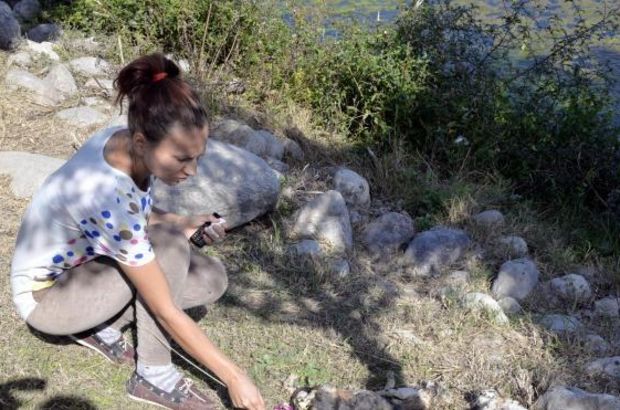 Antalya'da kedileri, yakarak, suda boğarak, bıçaklayarak öldürdüler