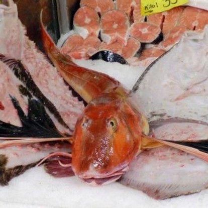 karadeniz de kirlangic baligi 50 tl den satiliyor