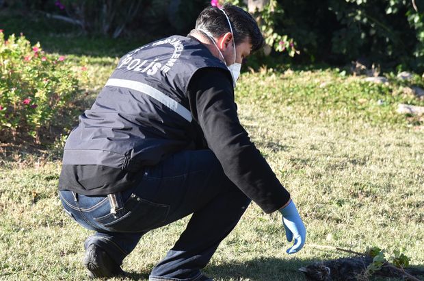 Antalya'da kedi katliamı