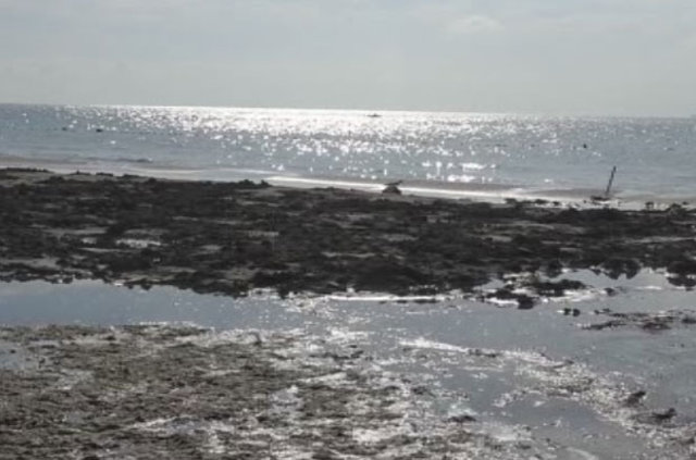 Marmara Ereğlisinde deniz suyu 20 metre çekildi Marmara Ereğlisinde deniz suyu 20 metre çekildi
