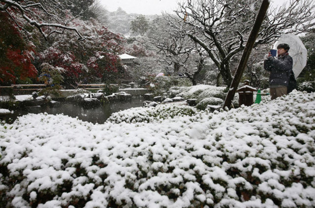 Tokyo'da 54 yıl sonra ilk kez kasım ayında kar yağdı