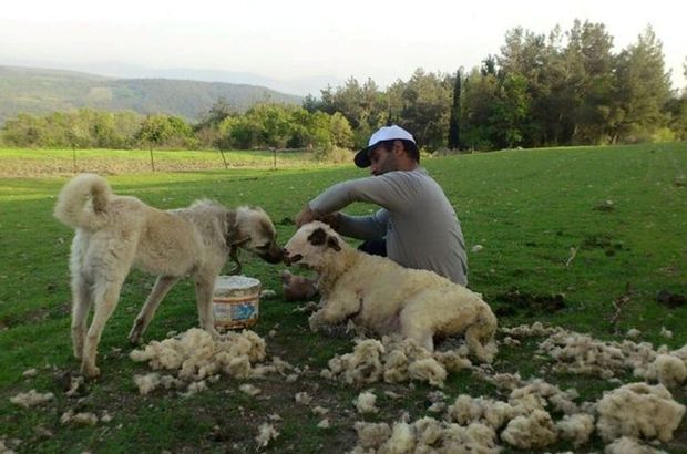 Çobanlık yapan Serdar Okuyucu Dolunay partisini kurdu
