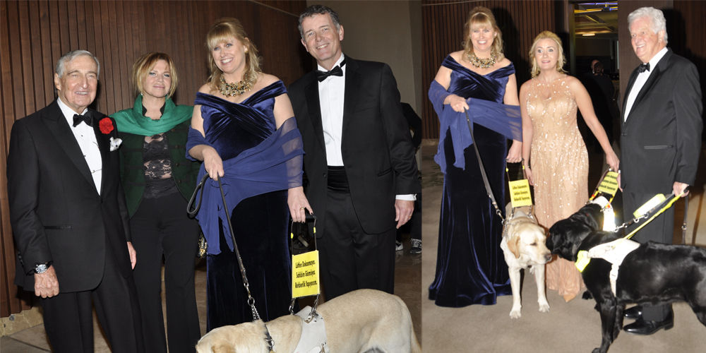 Rehber Köpekler Derneği'nden özel balo