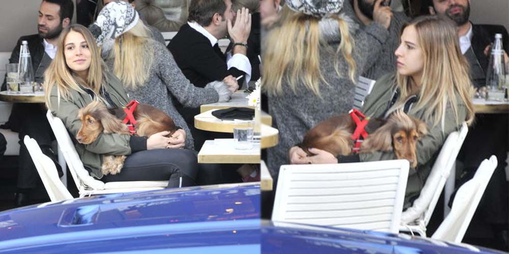 Köpeğini kucağından indirmedi