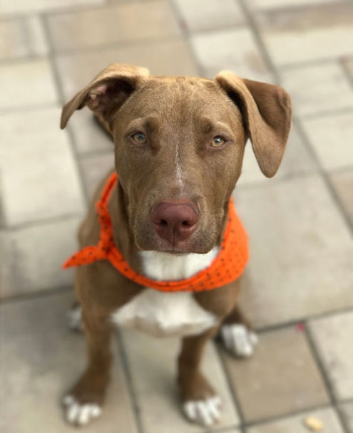 Seyahat fotoğrafçısı @pketron tarafından iPhone 7 Plus ile çekildi.