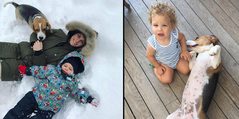 Ali, karla tanıştı