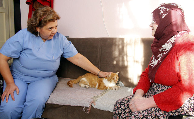 Elazığ'da nöbet geçiren kedi için belediye ve üniversite seferber oldu
