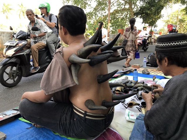 Endonezya'da bufalo boynuzuyla tedavi