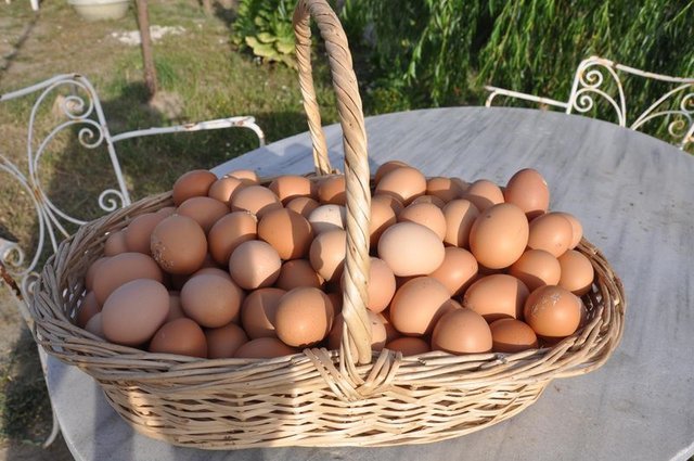 Pişmiş yumurtadaki gri halka ne anlama geliyor?