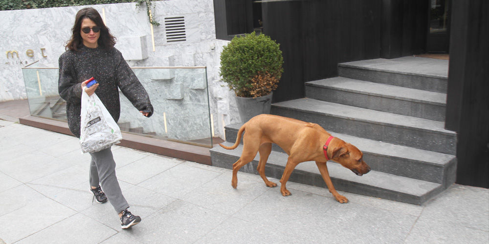 Frida ile sabah alışverişi