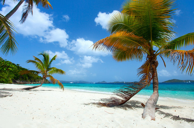 Virgin Adaları'na tatile giden üste para alıyor