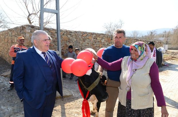 Kahramanmaraş'ta bir kişinin Başbakan'dan inek isteği yerine geldi