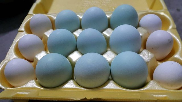 Tavuk yumurtası hipertansiyona yardımcı olur mu? ,ısı sırasında kan basıncı düşer
