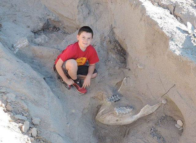 9 yaşındaki çocuk 1.2 milyon yıllık fosil buldu