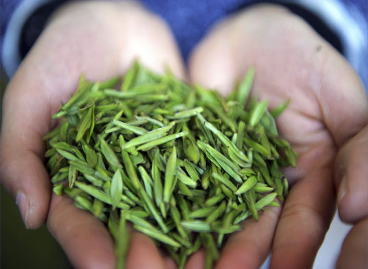 Yeşil çayın Faydaları Nelerdir Sağlık Haberleri