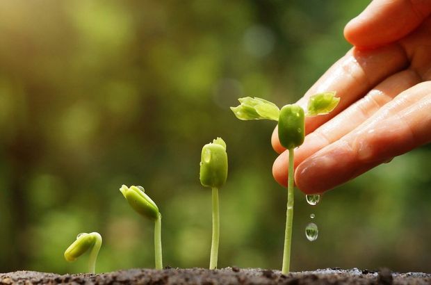 Chemchina Syngenta Yi Aliyor