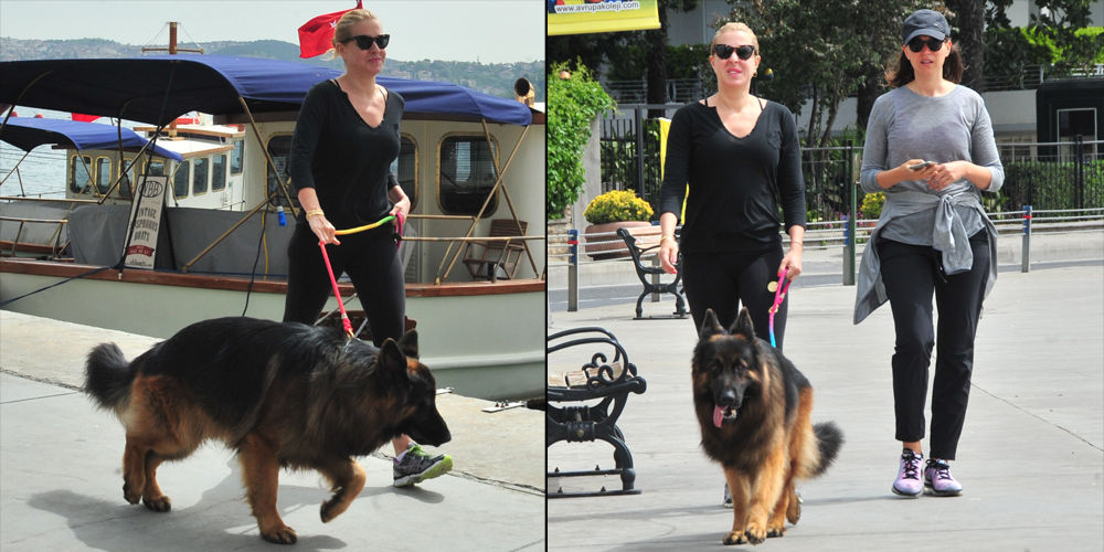 Hayvan dostu Dinçkök