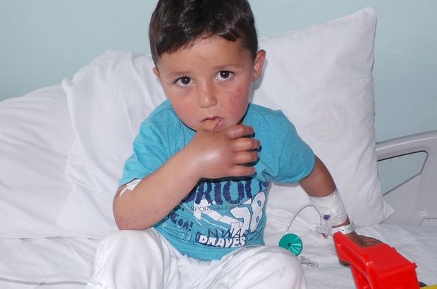 Ordu'nun Gürgentepe'de devlet hastanesinde 3 yaşındaki çocuğu yılan ısırdı
