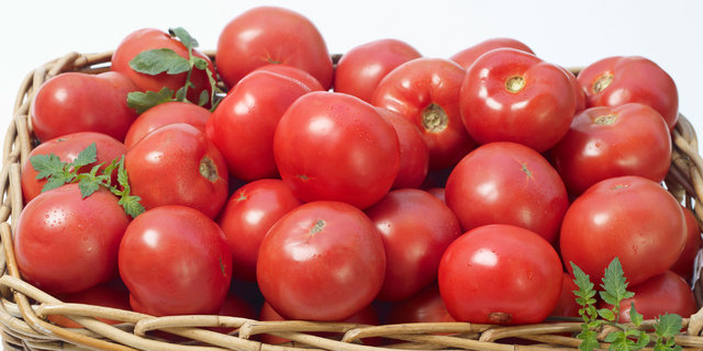 Domates o kanseri önlüyor Domates o kanseri önlüyor