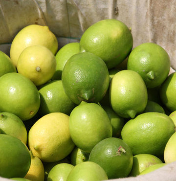 C vitamini deposu limonun faydaları saymakla bitmiyor. Peki, limonun faydaları nelerdir? Limon zayıflatır mı? Limon hangi alanlarda kullanılır? İşte limonun saymakla bitmeyen faydaları... 