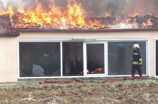 Kocaeli'de çiftlik yangını