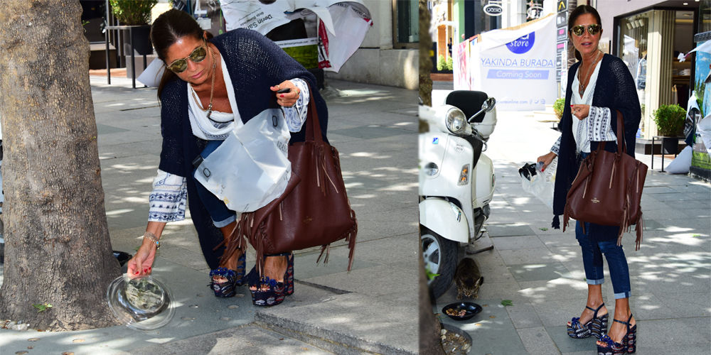 Sokak kedileri Çapa'ya emanet