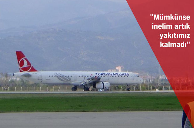Atatürk Havalimanı'nda köpek nedeniyle uçaklar pisti pas geçti