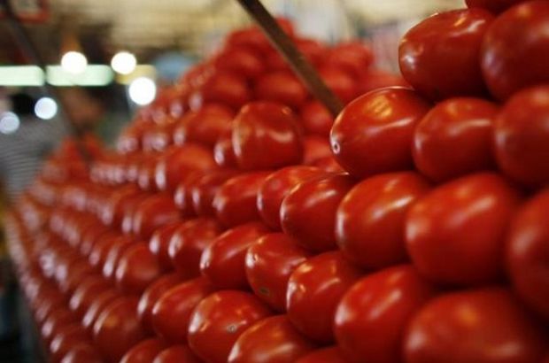 Bakanlıktan domates ihracatı açıklaması