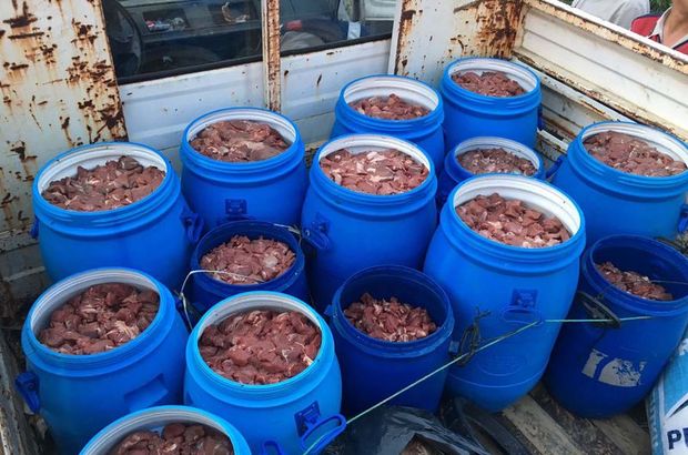 Aydın'da 5 ton domuz eti imha edildi