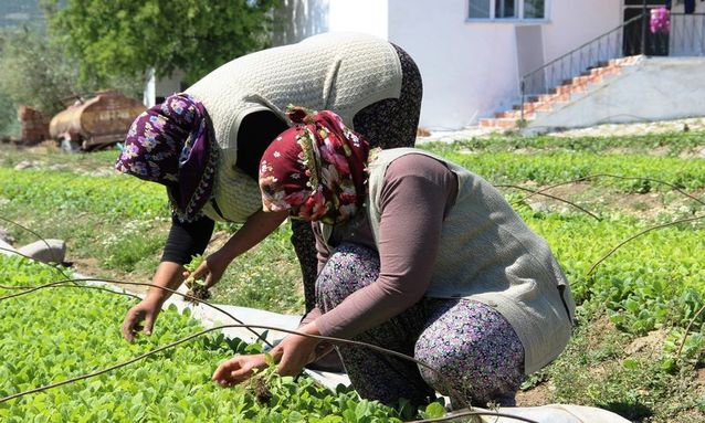 Köyün Delisi Yaşlı Teyzeyi