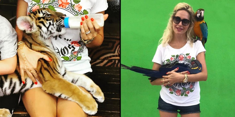 Tezman, yavru kaplan besledi