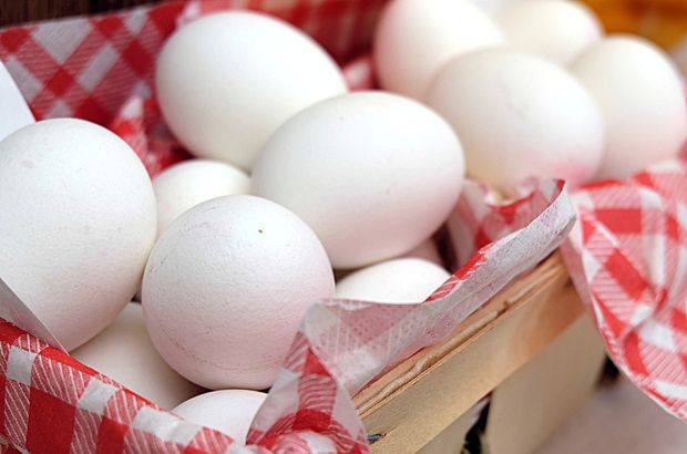Yumurta üretimi artıyor