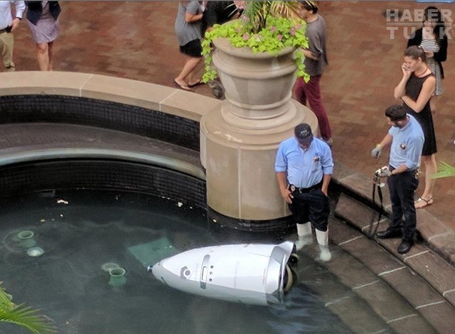 Güvenlik robotu işi, kendini havuza atarak bıraktı(!)