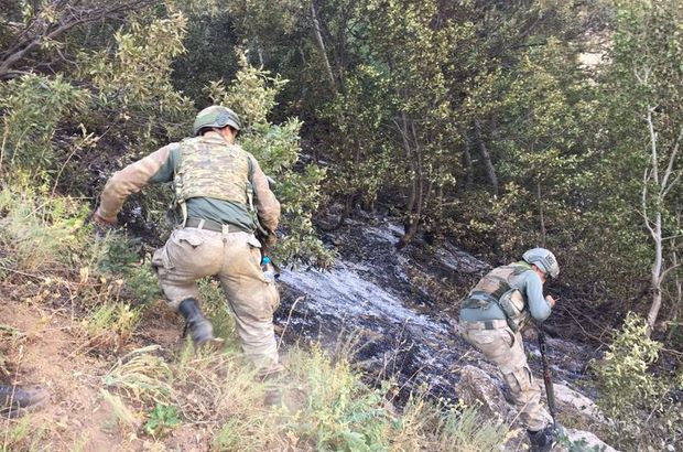 Bitlis'te korucuyu şehit eden 2 PKK'lı etkisiz hale getirildi