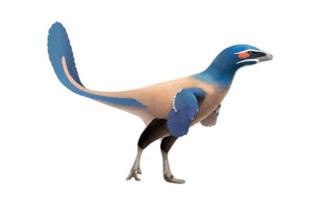 Kanada'da keşfedilen dinozor kuşu bilim dünyasını heyecanlandırdı