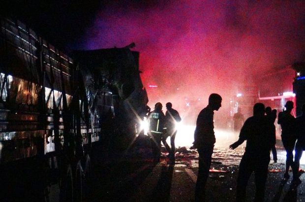 Sakarya'da TEM Otoyolu'nda TIR yandı