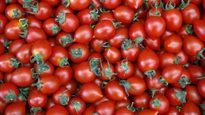 Domates yasağı 18 Ağustos'ta görüşülecek