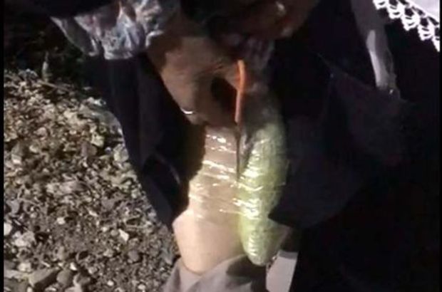 Sivas'ta yolcu otobüsünde bacaklarına sarılı 2 kilo 75 gram esrarla yakalandı