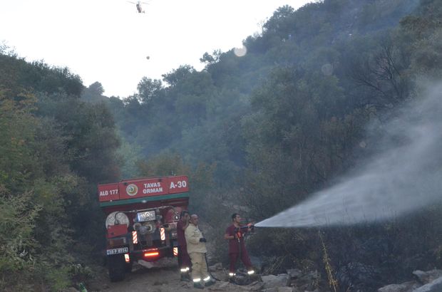Denizli'de feci yangın! 5 hektarlık alan kül oldu