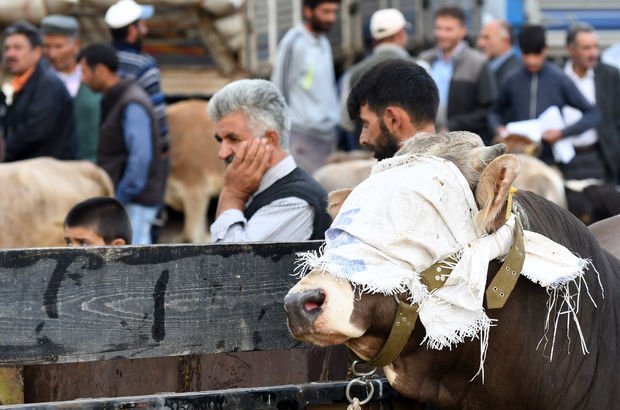 Kurban Bayramı ne zaman, hangi gün? 2017