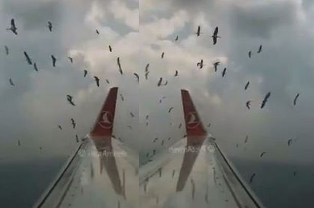 THY uçağı kuş tehlikesinden kurtuldu
