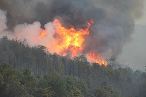 Kütahya'da orman yangını durdurulamıyor!